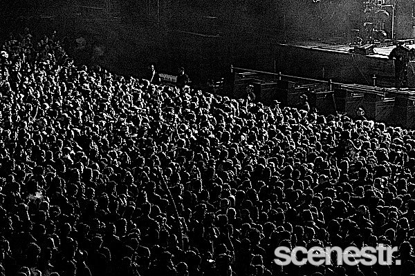 Photos: 2023 Splendour In The Grass Crowd Action - North Byron Parklands - 21-23 July, 2023
