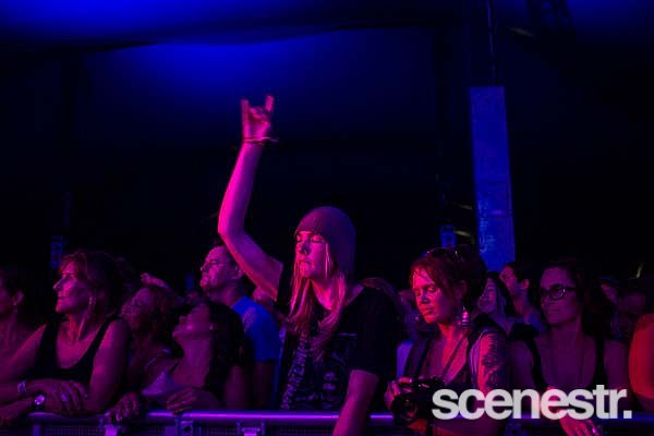 Photos: Bluesfest - Socials - Days 1, 2 + 3 - Byron Bay, 2015