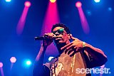 Photos: Regurgitator - The Princess Theatre, Brisbane - 25 April, 2026