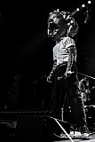 Photos: TISM - PICA, Melbourne - 2 May, 2026