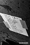 Photos: Violent Soho, DZ Deathrays & Dune Rats - Enmore Theatre, Sydney - 26 May, 2016