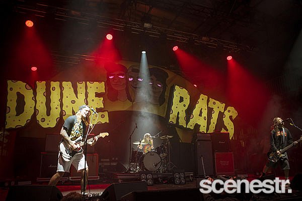 Photos: Falls Festival Lorne - Bands - 28-31 December, 2017