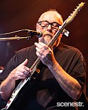 Photos: Ed Kuepper & Queensland Symphony Orchestra - The Tivoli, Brisbane - 4 November, 2020