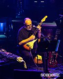 Photos: Ed Kuepper & Queensland Symphony Orchestra - The Tivoli, Brisbane - 4 November, 2020