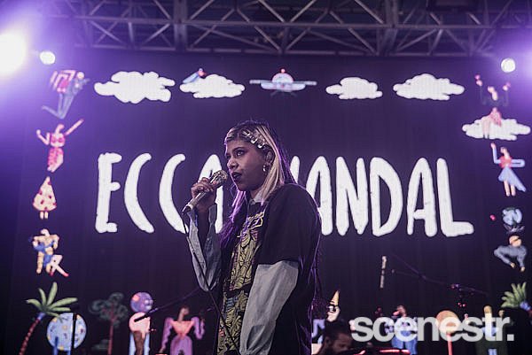 Photos: Falls Festival Lorne - Bands - 28-31 December, 2017