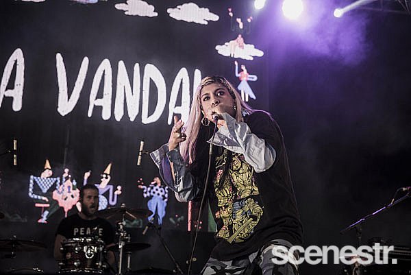 Photos: Falls Festival Lorne - Bands - 28-31 December, 2017