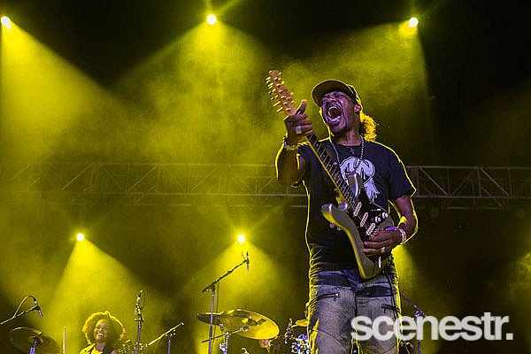 Photos: Bluesfest Day 4 - Tyagarah Tea Tree Farm, Byron Bay - 1 April, 2018