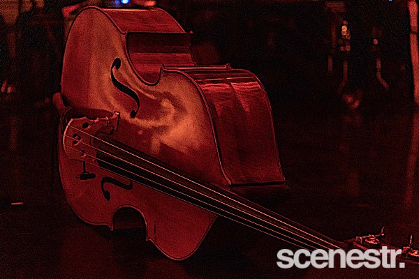 Photos: Esperanza Spalding - QPAC, Brisbane - 22 October, 2024
