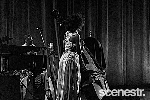 Photos: Esperanza Spalding - QPAC, Brisbane - 22 October, 2024