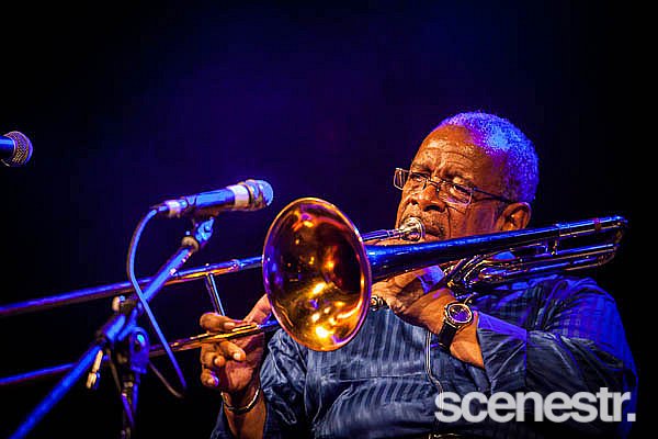Photos: Bluesfest Byron Bay - Artists - 2013