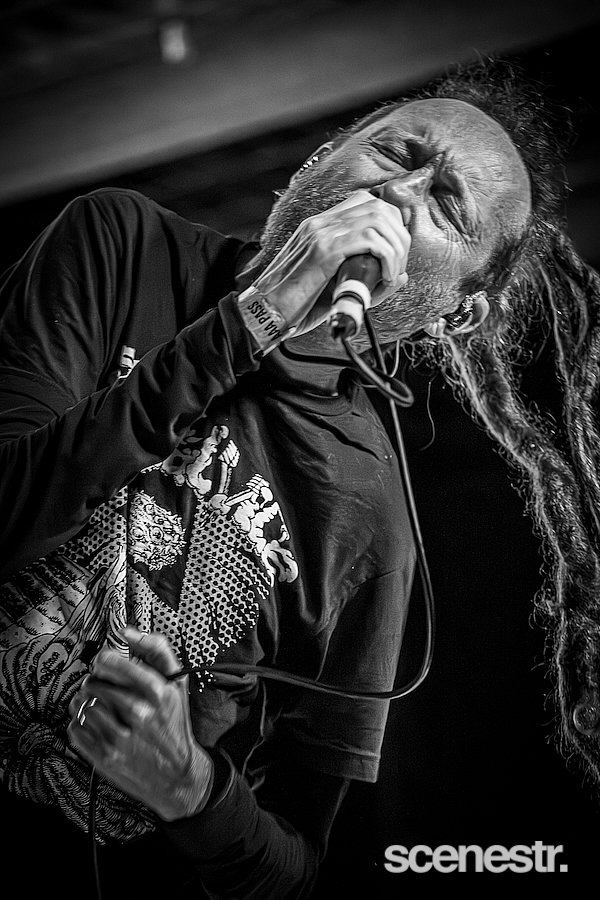 Photos: Frenzal Rhomb - Miami Marketta, Gold Coast - 23 May, 2025