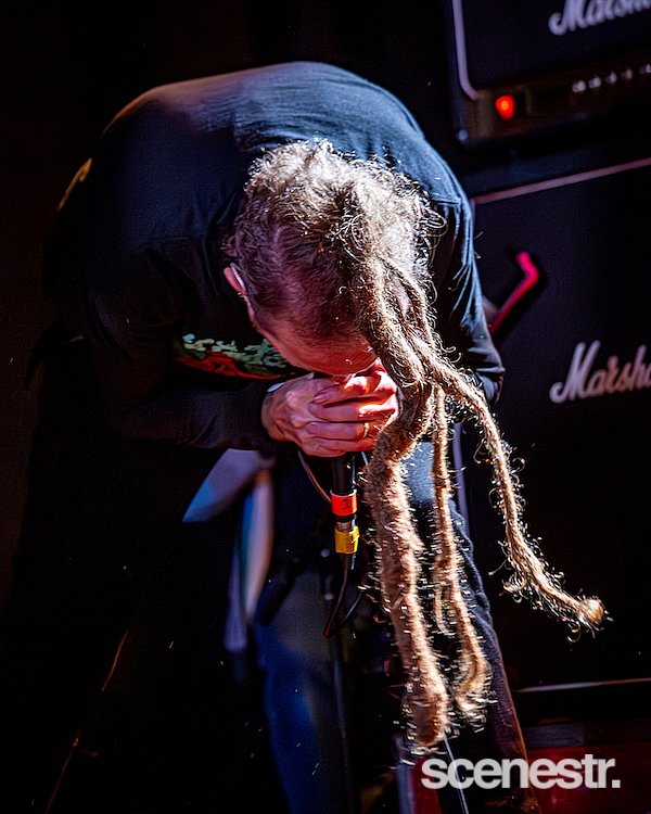 Photos: Frenzal Rhomb - Miami Marketta, Gold Coast - 23 May, 2025