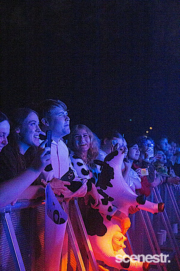 Photos: Glass Animals - The Riverstage, Brisbane - 22 November, 2024