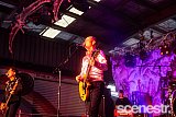 Photos: Hoodoo Gurus - Miami Marketta, Gold Coast - 8 December, 2024