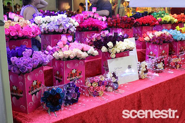 Photos: Oz Night Market, Brisbane - 25 April, 2015