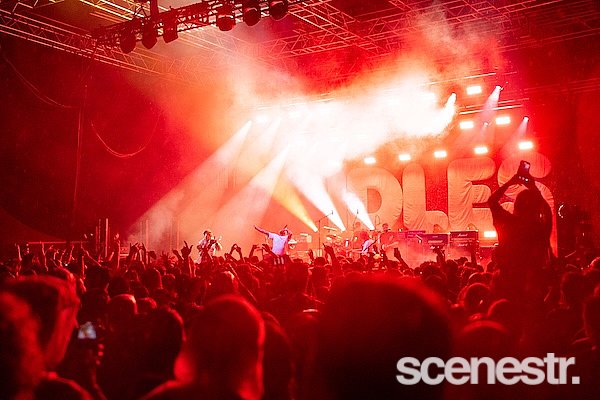Photos: IDLES - The Riverstage, Brisbane - 18 January, 2025