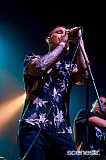 Photos: Red Jumpsuit Apparatus - The Triffid, Brisbane - 29 November, 2018