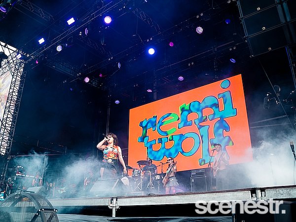 Photos: Laneway Festival - Centennial Park, Sydney - 9 February, 2025
