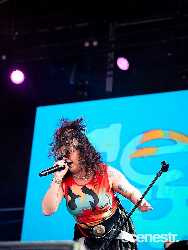 Photos: Laneway Festival - Centennial Park, Sydney - 9 February, 2025