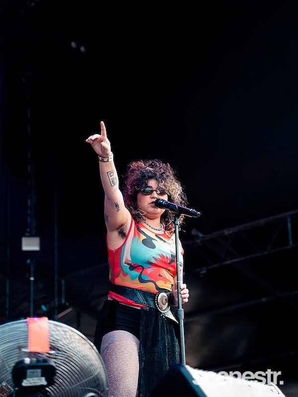 Photos: Laneway Festival - Centennial Park, Sydney - 9 February, 2025