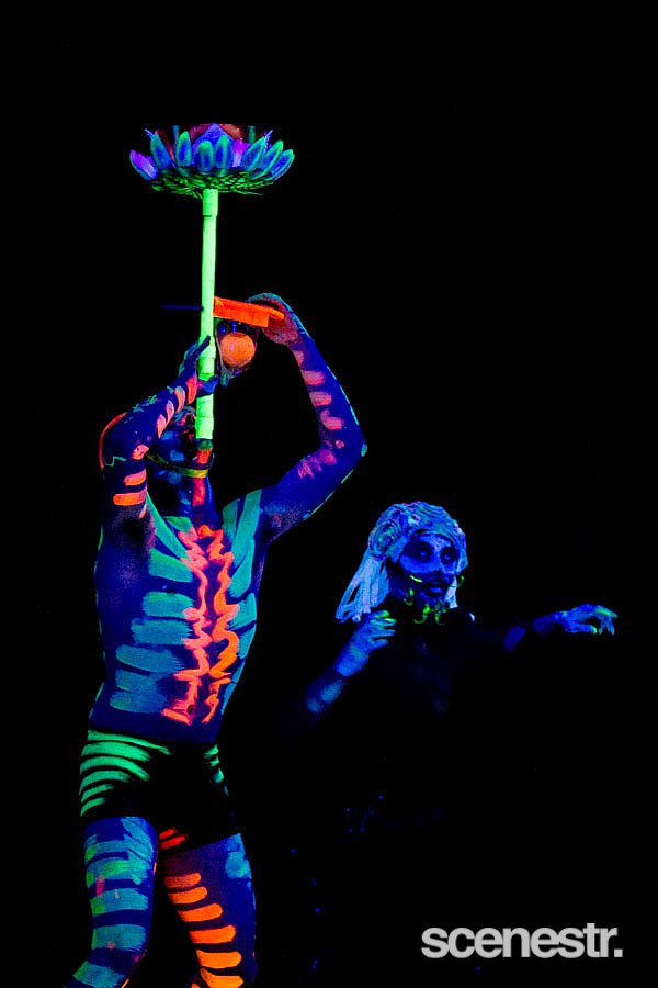 Photos: Luminous – Gasworks Arts Park, Melbourne – 16 September, 2015