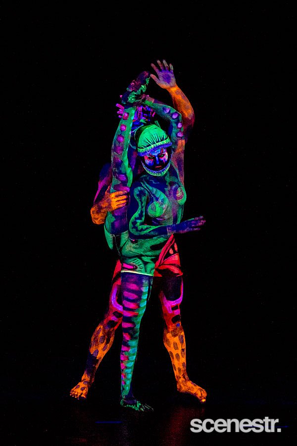 Photos: Luminous – Gasworks Arts Park, Melbourne – 16 September, 2015