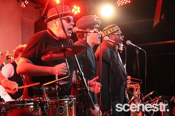 Photos: Melbourne Ska Orchestra - The Gov, Adelaide - 20 May, 2016