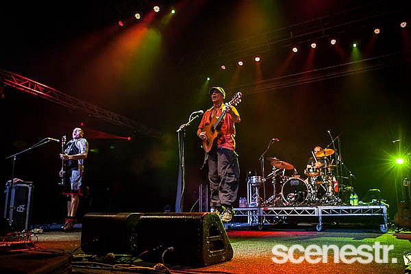 Photos: Bluesfest Byron Bay - Artists - 2013