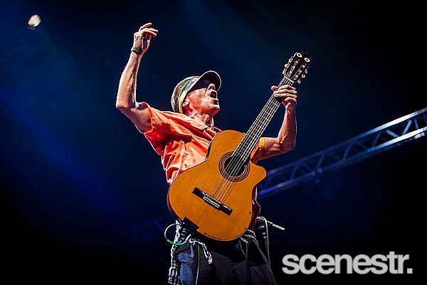Photos: Bluesfest Byron Bay - Artists - 2013