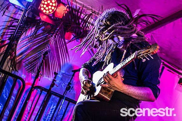 Photos: 2017 Ocean Street World Festival - Sunshine Coast - 16 April, 2017