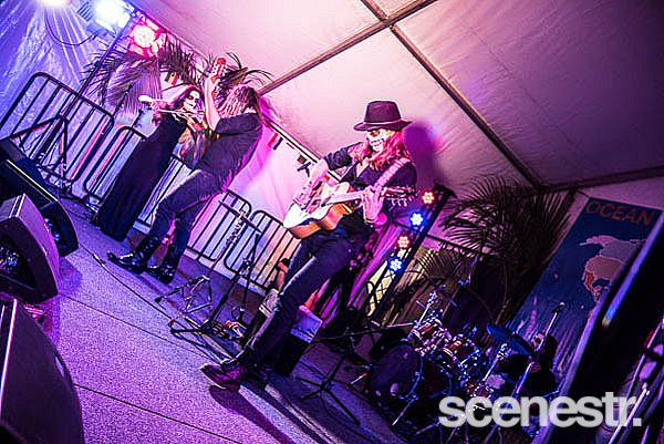 Photos: 2017 Ocean Street World Festival - Sunshine Coast - 16 April, 2017
