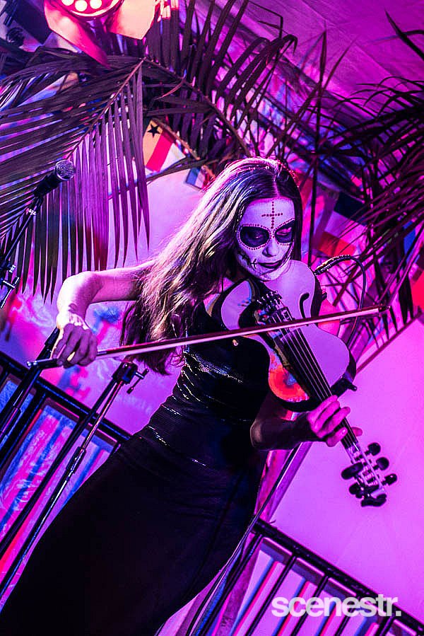 Photos: 2017 Ocean Street World Festival - Sunshine Coast - 16 April, 2017