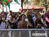 Photos: Rainbow Serpent Festival - Lexton - 23-26 January, 2015