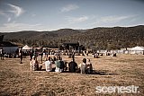 Photos: Party In The Paddock Part 2 - White Hills, Tasmania - 19-20 February, 2016