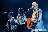 Photos: Paul Kelly's Making Gravy - The Riverstage, Brisbane - 18 December, 2021