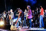 Photos: Paul Kelly's Making Gravy - The Riverstage, Brisbane - 18 December, 2021