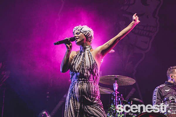 Photos: 2019 Big Pineapple Music Festival, Sunshine Coast - 25 May, 2019
