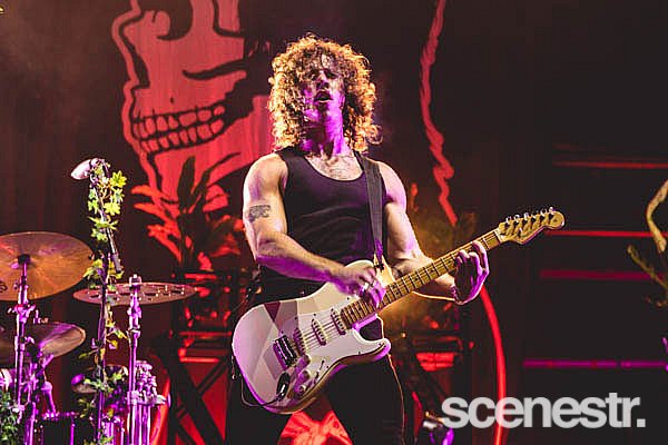Photos: 2019 Big Pineapple Music Festival, Sunshine Coast - 25 May, 2019