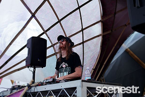 Photos: Rabbits Eat Lettuce - Woodfordia, Sunshine Coast - 4-5 April, 2015
