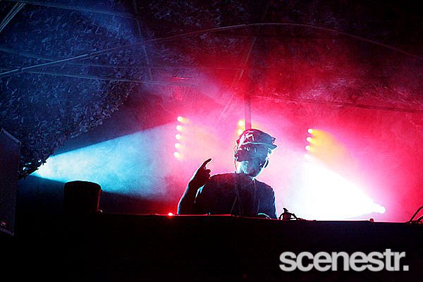 Photos: Rabbits Eat Lettuce - Woodfordia, Sunshine Coast - 4-5 April, 2015