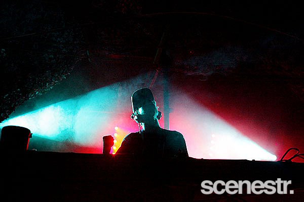 Photos: Rabbits Eat Lettuce - Woodfordia, Sunshine Coast - 4-5 April, 2015