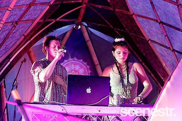 Photos: Rabbits Eat Lettuce - Woodfordia, Sunshine Coast - 4-5 April, 2015