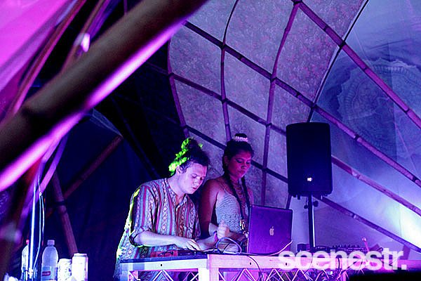 Photos: Rabbits Eat Lettuce - Woodfordia, Sunshine Coast - 4-5 April, 2015