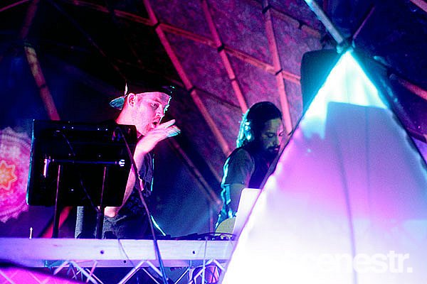 Photos: Rabbits Eat Lettuce - Woodfordia, Sunshine Coast - 4-5 April, 2015
