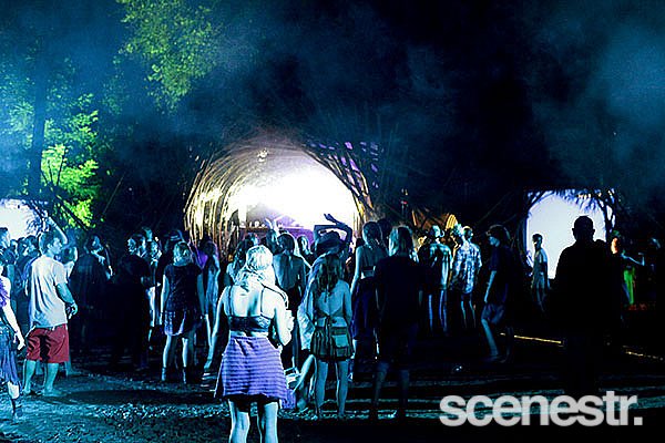 Photos: Rabbits Eat Lettuce - Woodfordia, Sunshine Coast - 4-5 April, 2015