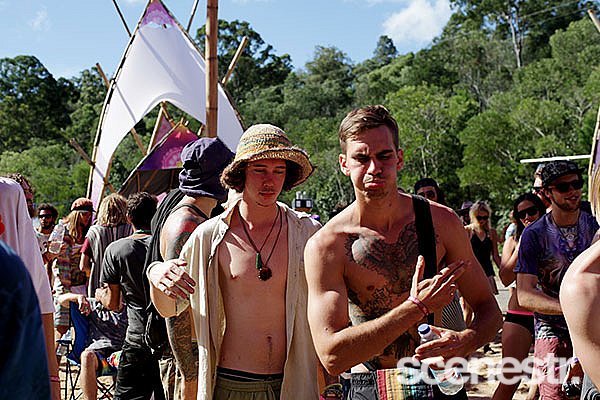 Photos: Rabbits Eat Lettuce - Woodfordia, Sunshine Coast - 4-5 April, 2015