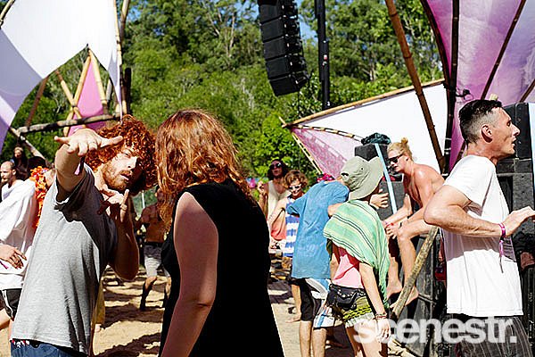 Photos: Rabbits Eat Lettuce - Woodfordia, Sunshine Coast - 4-5 April, 2015