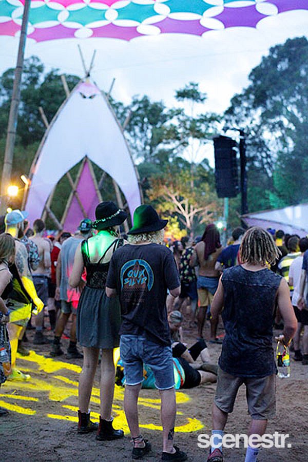 Photos: Rabbits Eat Lettuce - Woodfordia, Sunshine Coast - 4-5 April, 2015