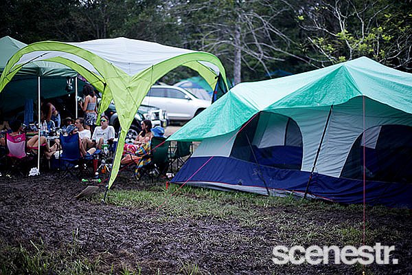 Photos: Rabbits Eat Lettuce - Woodfordia, Sunshine Coast - 4-5 April, 2015