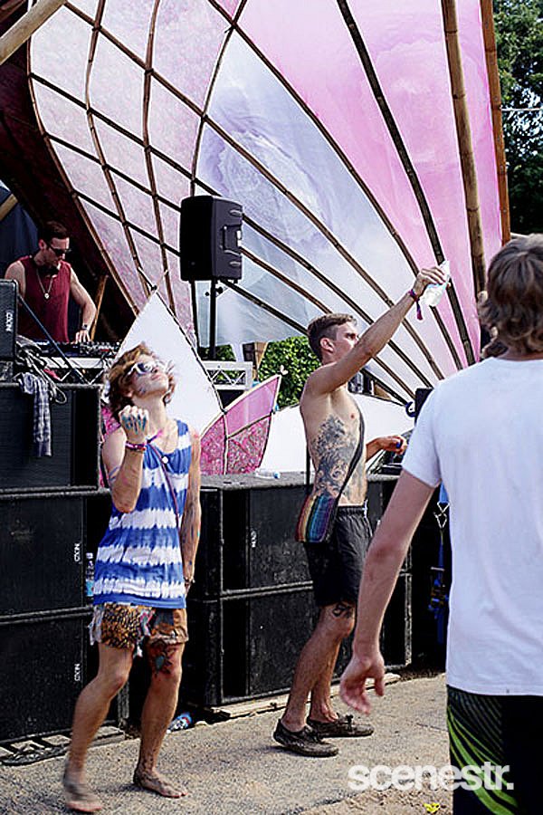 Photos: Rabbits Eat Lettuce - Woodfordia, Sunshine Coast - 4-5 April, 2015